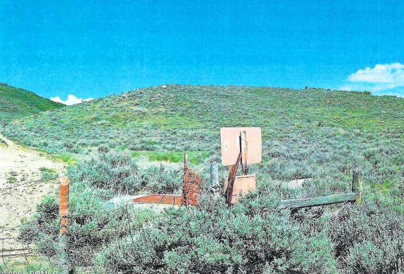 scan 11b