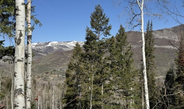 IMG_9756