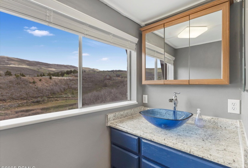 29-10019 Ridge Pine Dr-29