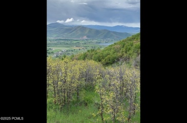 81 Switzer Drive, Midway, Utah 84049, ,Land,For Sale,Switzer,12502127