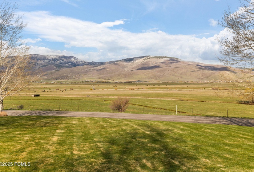 89-web-or-mls-7J4A1815