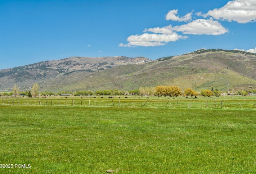 936 W SR 248, Kamas_030