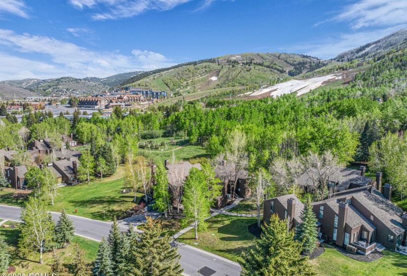 31-web-or-mls-1561-three-kings-dr