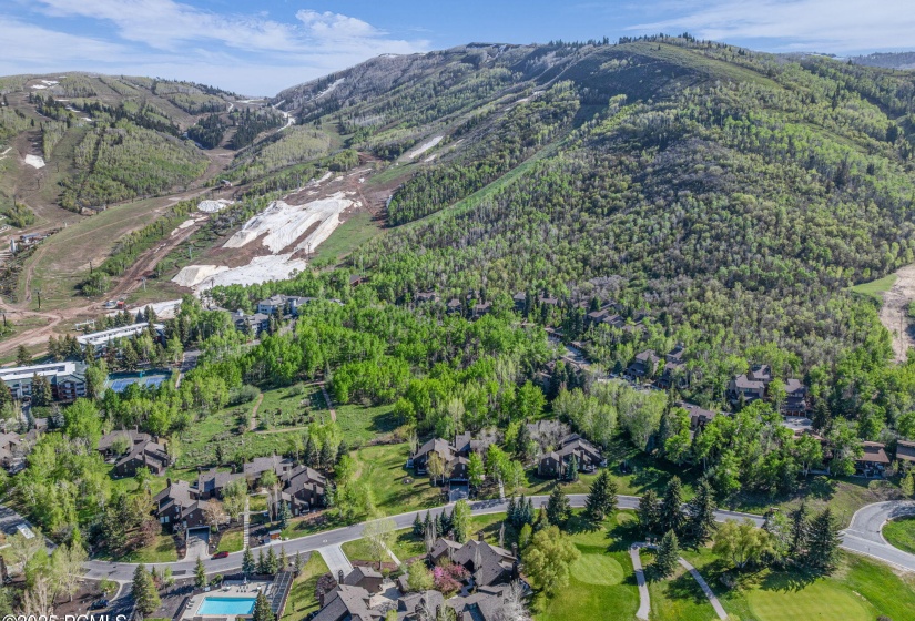 35-web-or-mls-1561-three-kings-dr