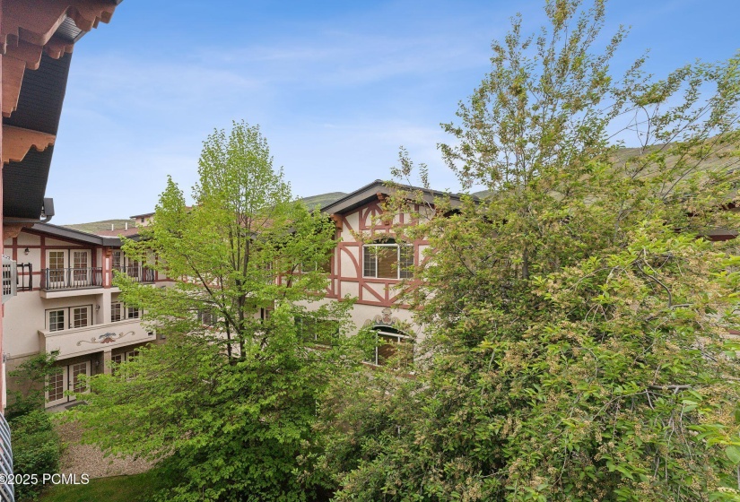 840 Bigler Ln, Midway_HDR025