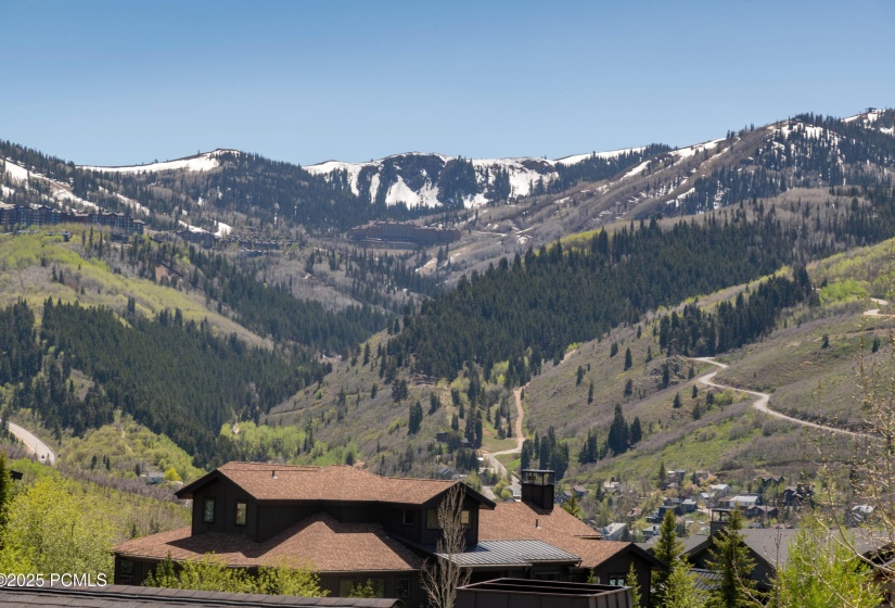 1501 April Mountain Dr Park-print-023-02