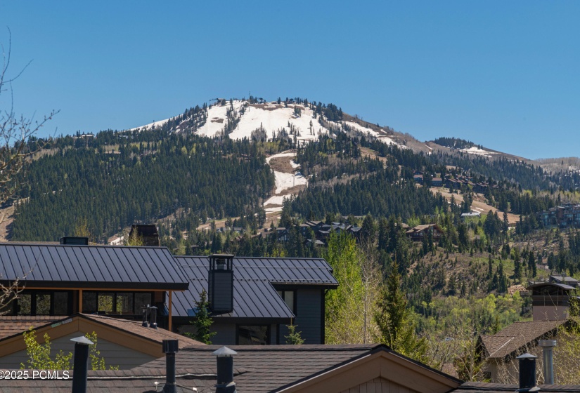 1501 April Mountain Dr Park-print-024-02