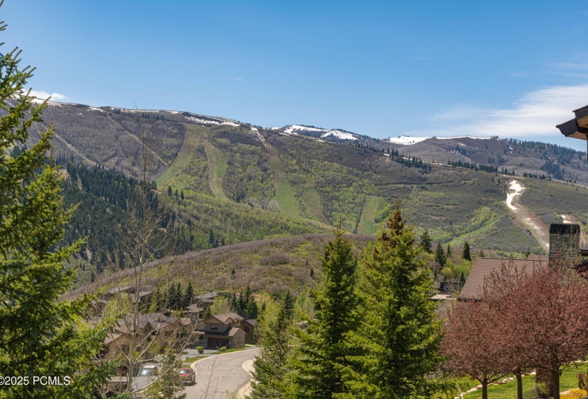 1501 April Mountain Dr Park-print-025-02