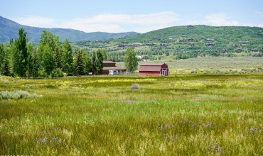 View from Lot