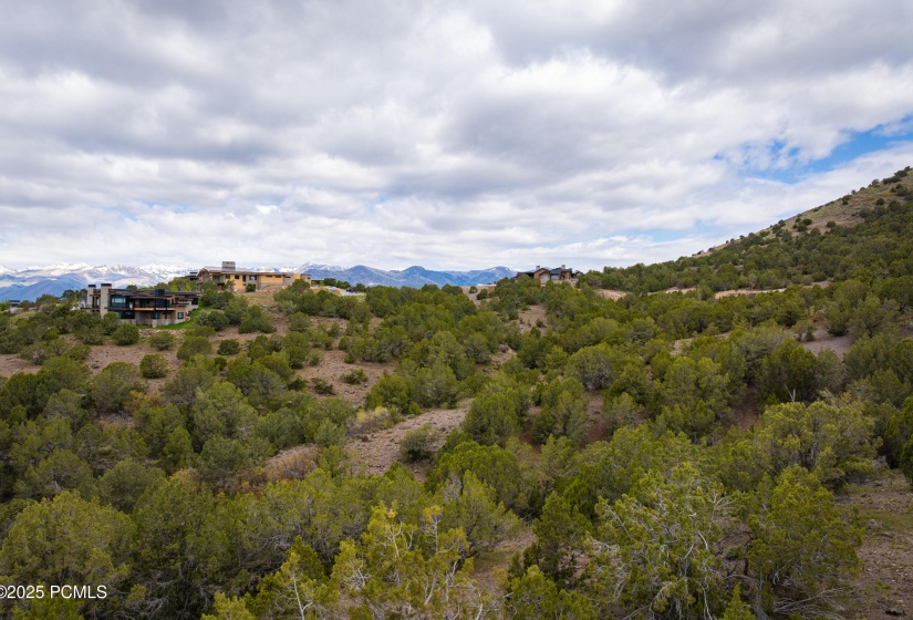 1456 Monroe Peak Circle-5