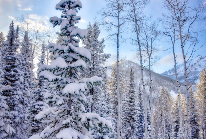 25. Land in winter, so pretty--22