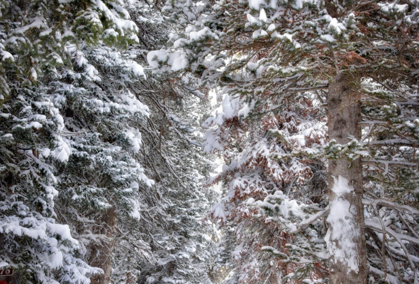 25. Land in winter, so pretty-2018-2