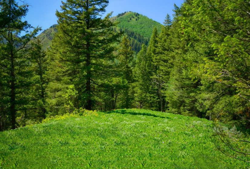 25. Land in winter, so pretty--10