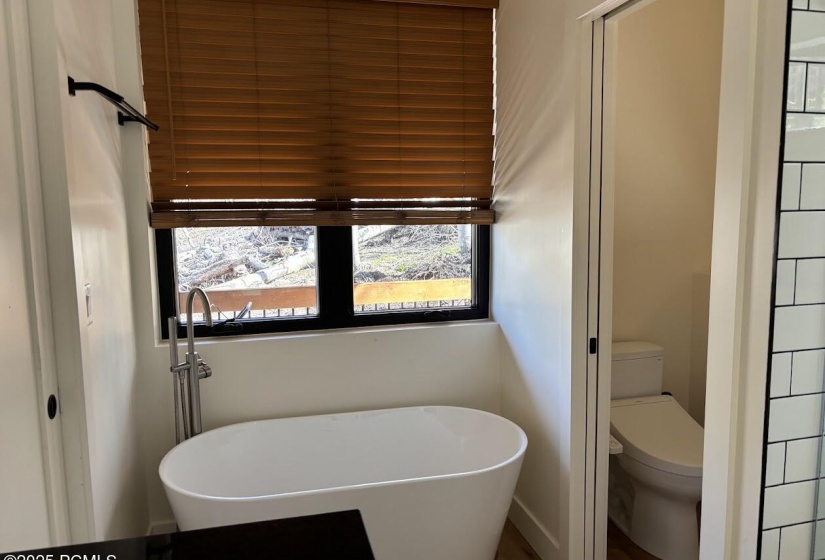 14_mstr toilet