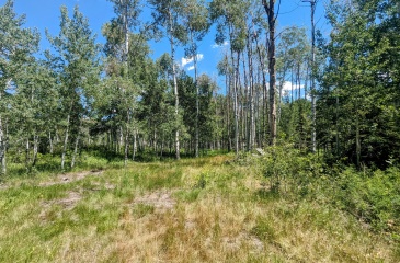 10579 Fir Run, Heber City, Utah 84032, ,Land,For Sale,Fir Run,12502397