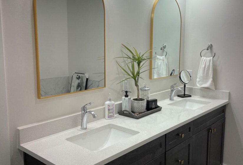Owners Bathroom Sinks