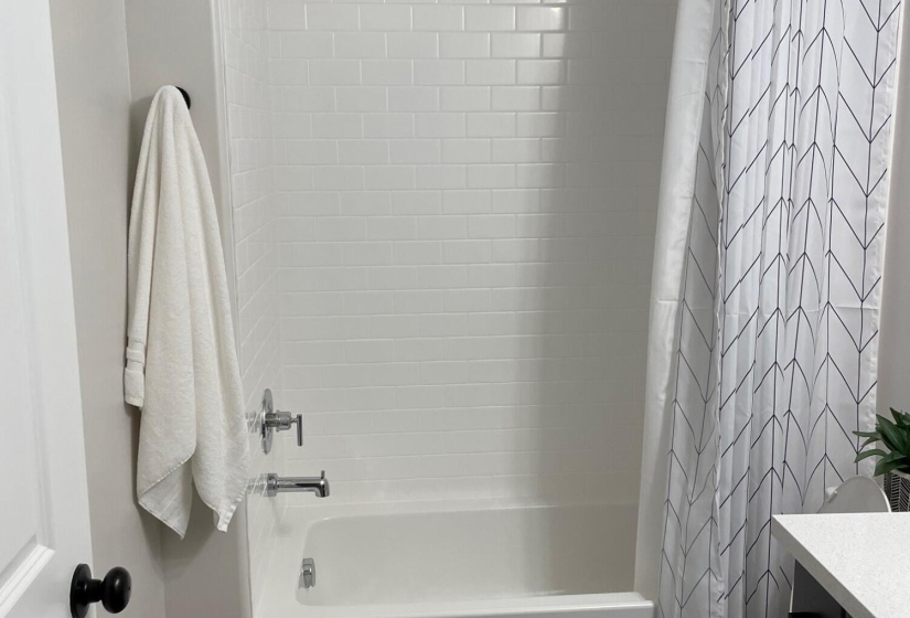 Basement Bathroom