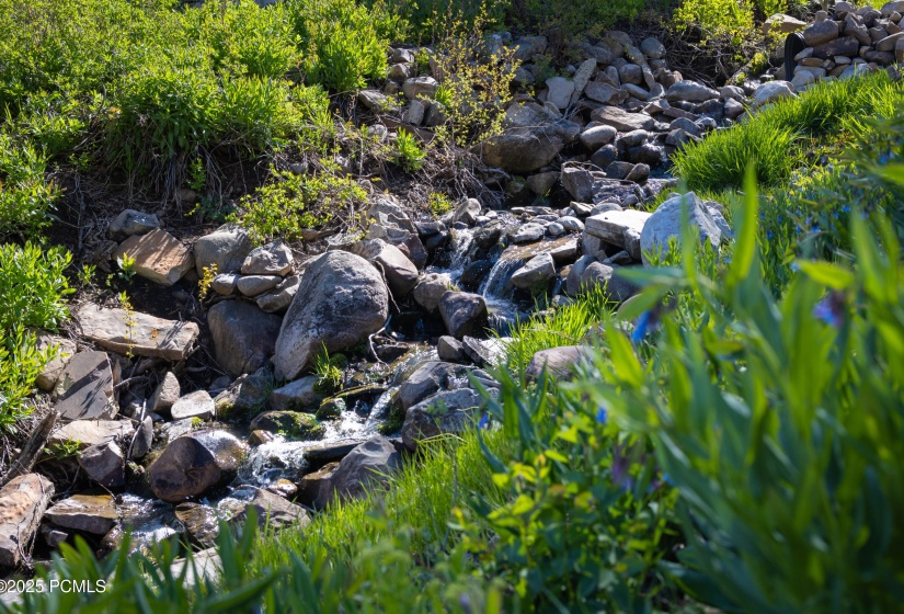 043_10256nbasincanyonrd-13_555