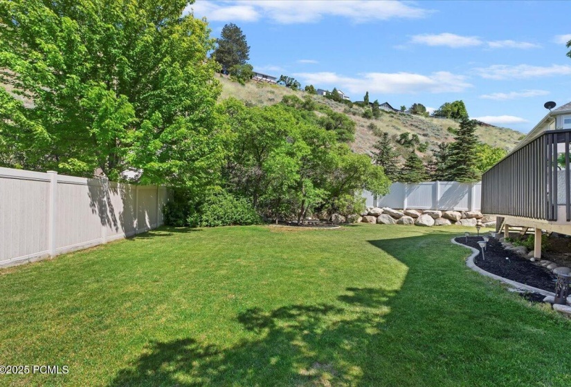 05-Backyard