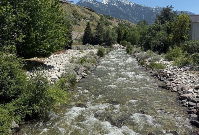 46-Creek