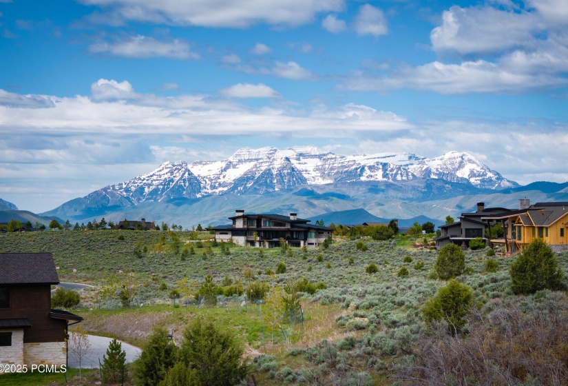 002_2646ebouldertoplp-1_304