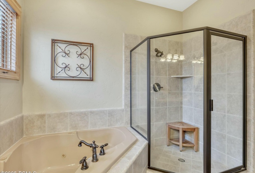Glass Shower & Jetted Tub