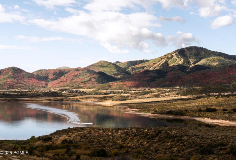 012_012_photo_81415162-2600x1733_770_134