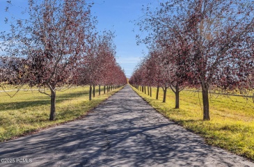 189 Weber Canyon Road, Oakley, Utah 84055, ,Land,For Sale,Weber Canyon,12502588