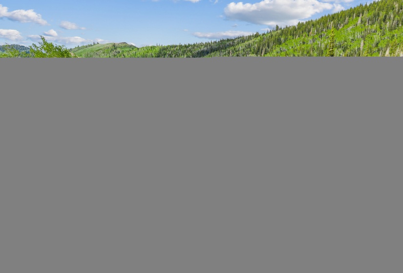 003_323_white_pine_canyon_rd_park_city_d
