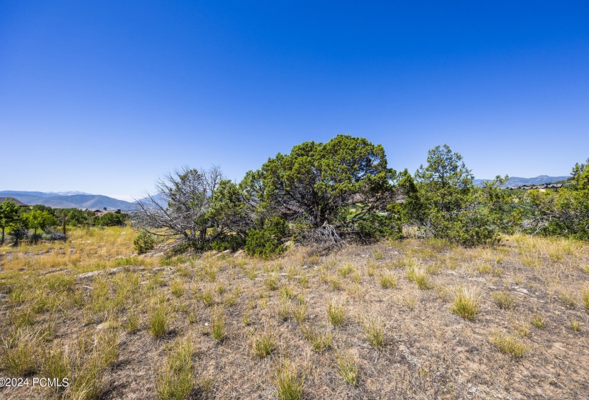 311 N Red Ledges Boulevard Lot 120 Heber