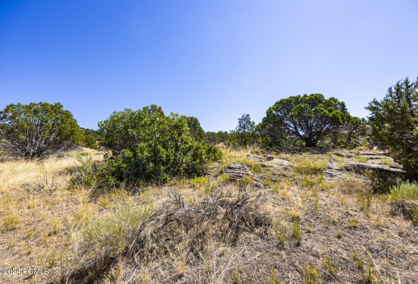311 N Red Ledges Boulevard Lot 120 Heber