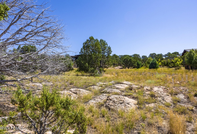311 N Red Ledges Boulevard Lot 120 Heber