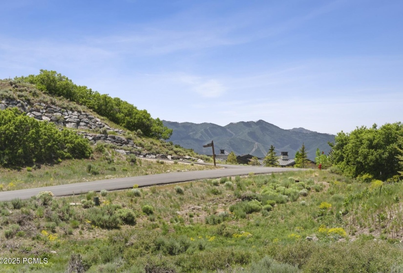 7_Lot_1800x1200_4240106