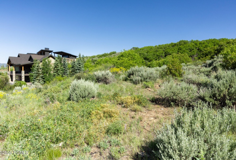 039_13835ndeercanyondrive-28_925