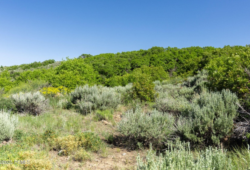 040_13835ndeercanyondrive-29_417