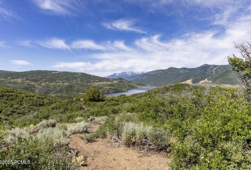 002_9191_n_sagebrush_ct002_647