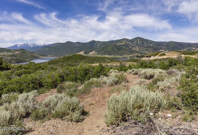 003_9191_n_sagebrush_ct003_652