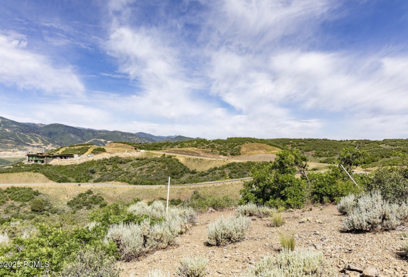 007_9191_n_sagebrush_ct007_433