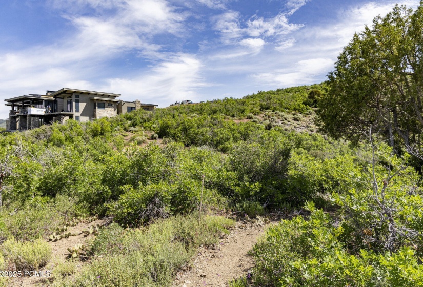 008_9191_n_sagebrush_ct009_561