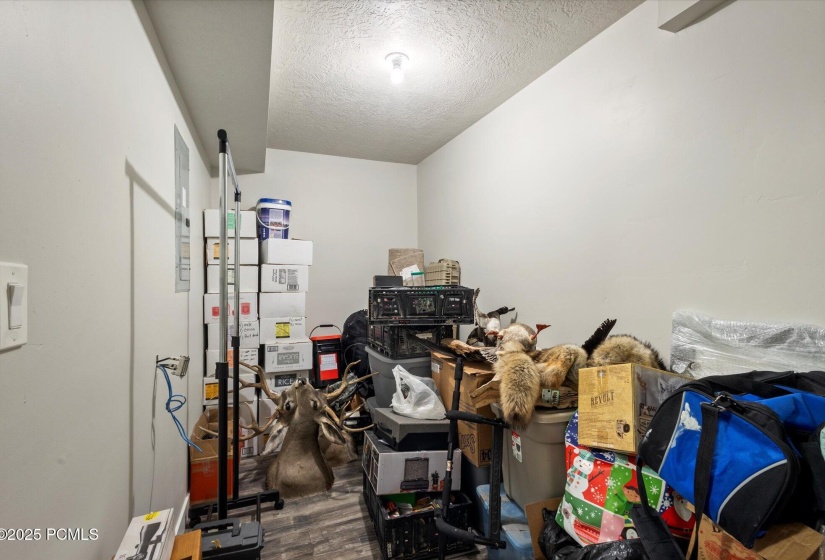 downstairs storage room