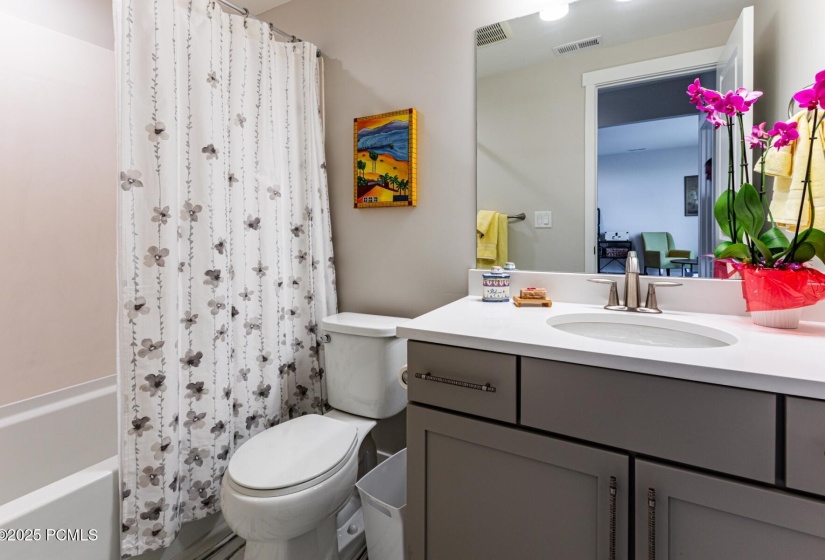 Downstairs Full Bath