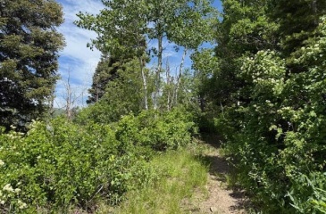 9612 2675, Salt Lake City, Utah 84109, ,Land,For Sale,2675,12502926