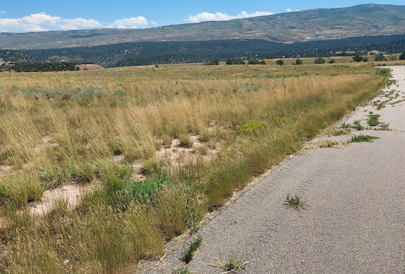 Southeast corner stake of lot