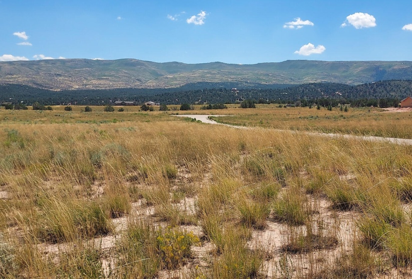Picture of 37 Hidden Meadow 4