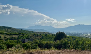 IMG_2101
