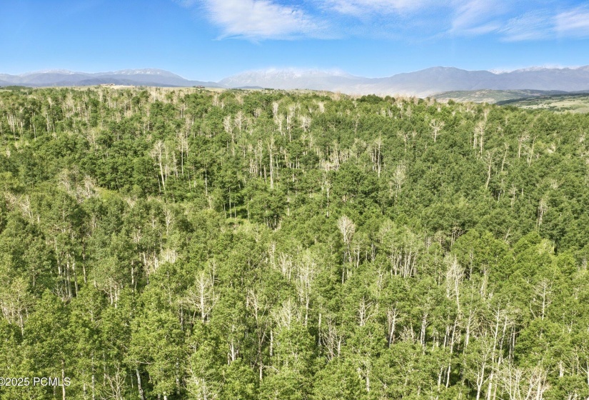dji_0327_with_clouds_534