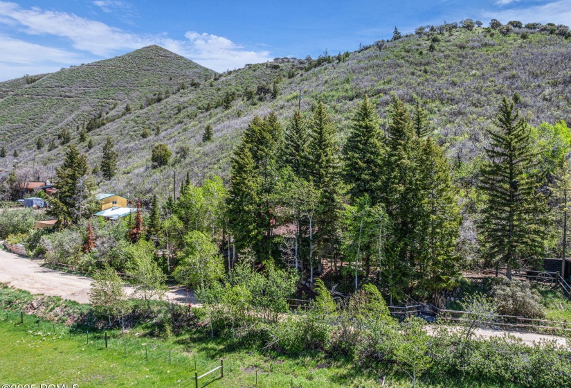 8-web-or-mls-1456-e-weber-wild-rd