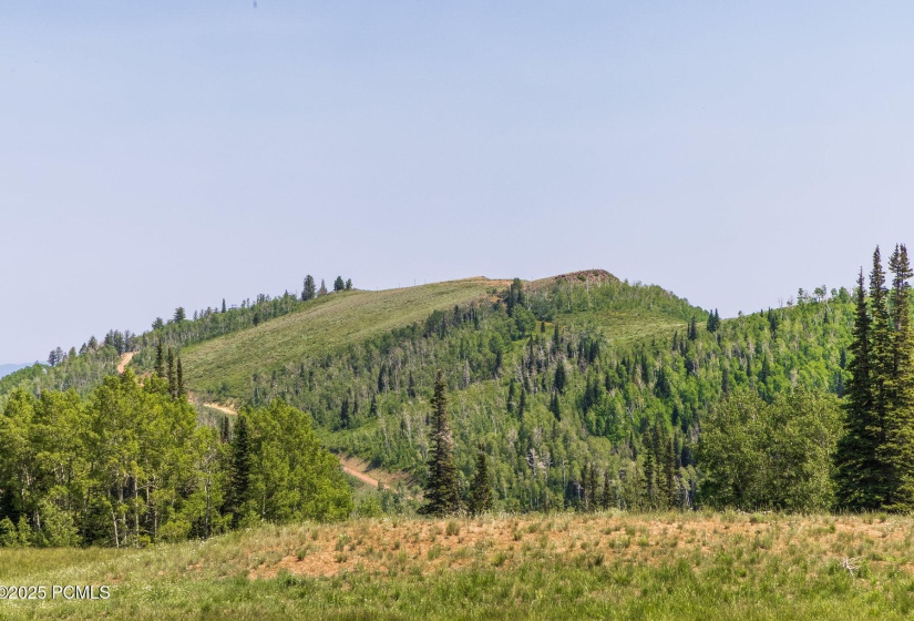 010_325whitepinecanyon8_155