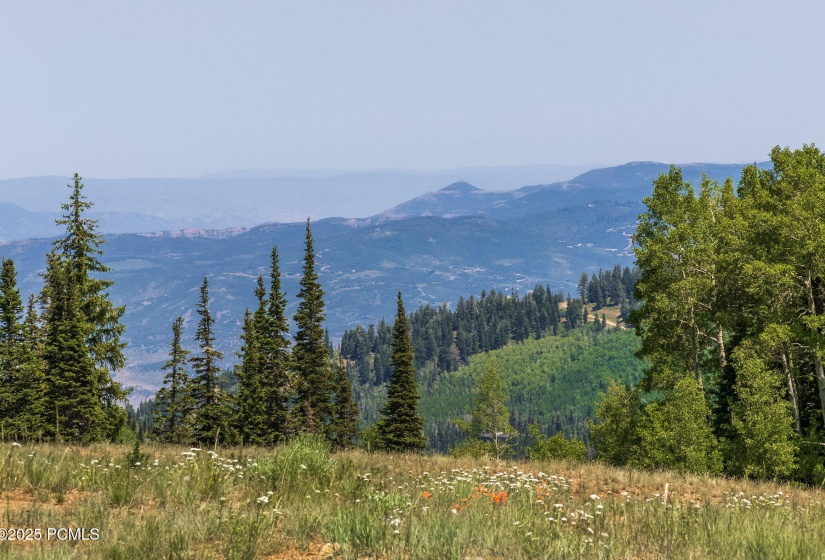 001_325whitepinecanyon1_279