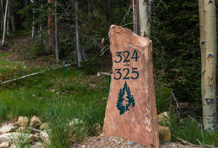054_17-324_white_pine_canyon_lot_324-17_